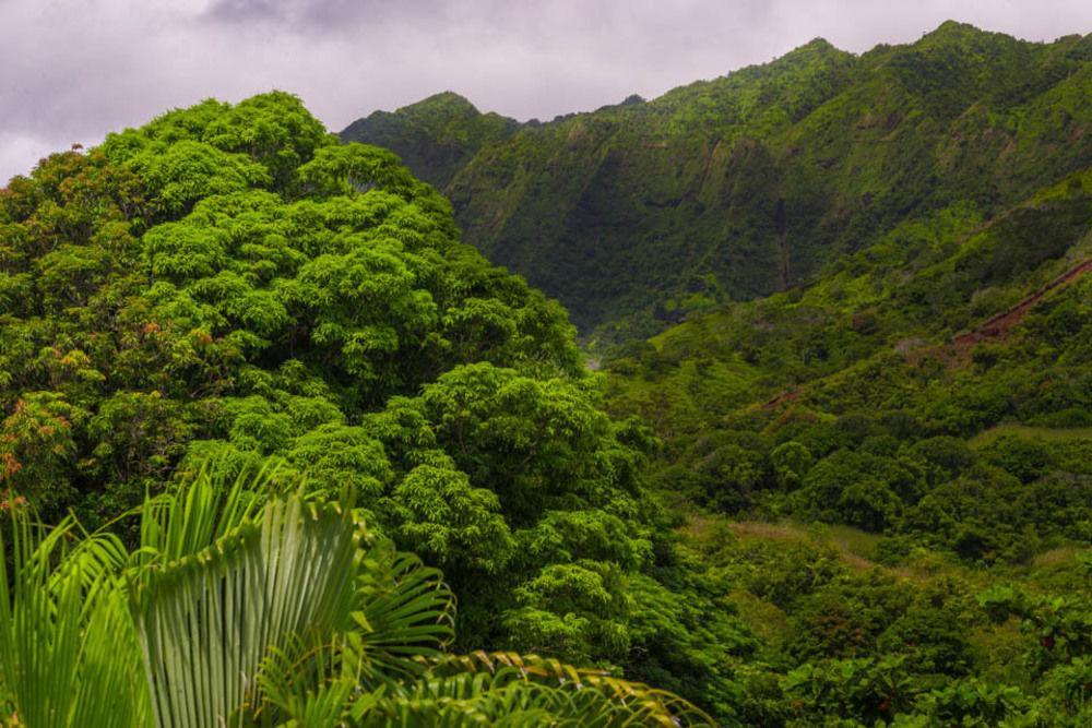 Hale Ho'O Maha Bed And Breakfast Ханалеи Экстерьер фото